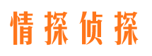 桃江寻人公司